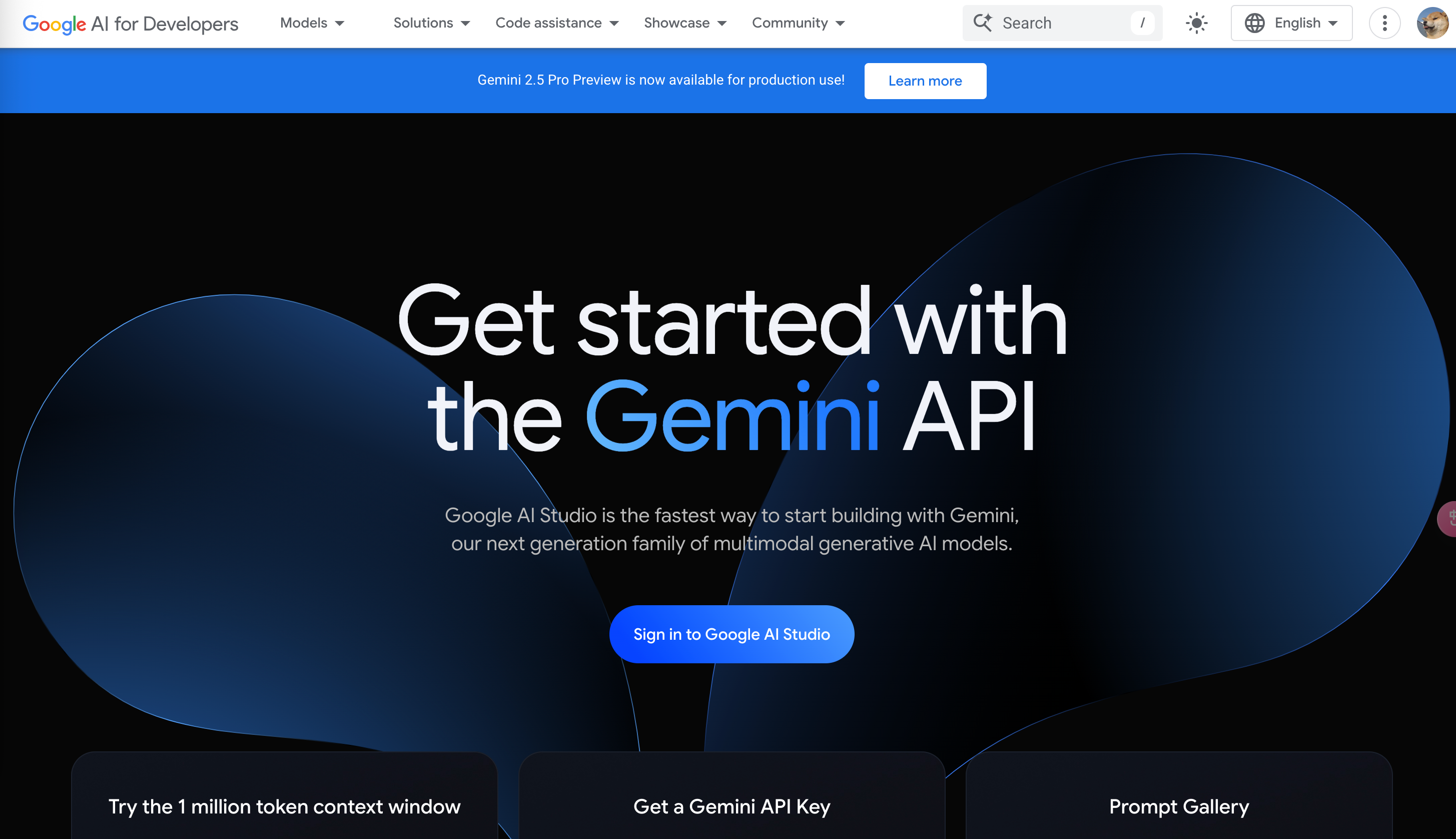 The official website of Google AI Studio